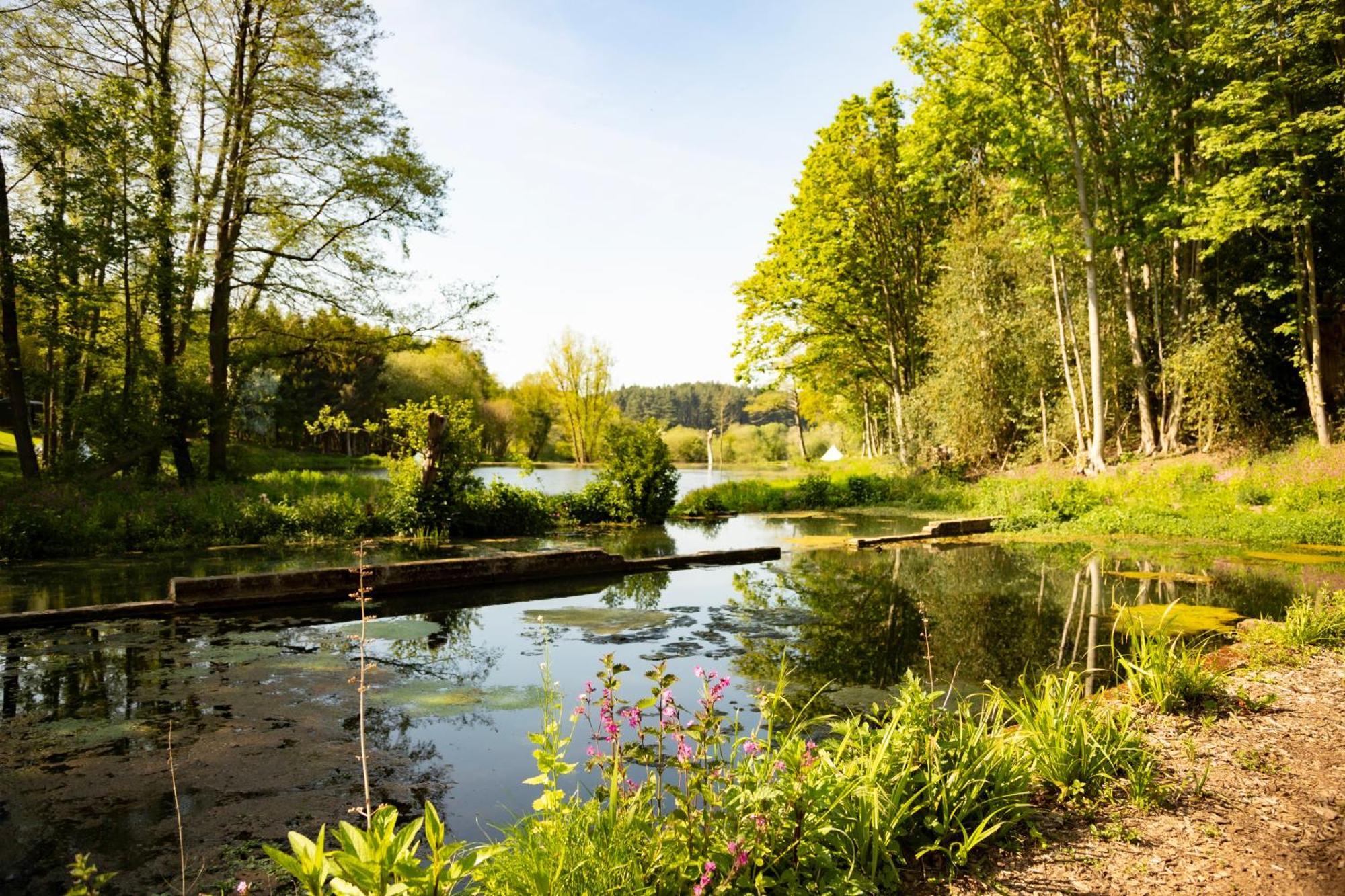 Вилла North Norfolk Glamping Холт Экстерьер фото