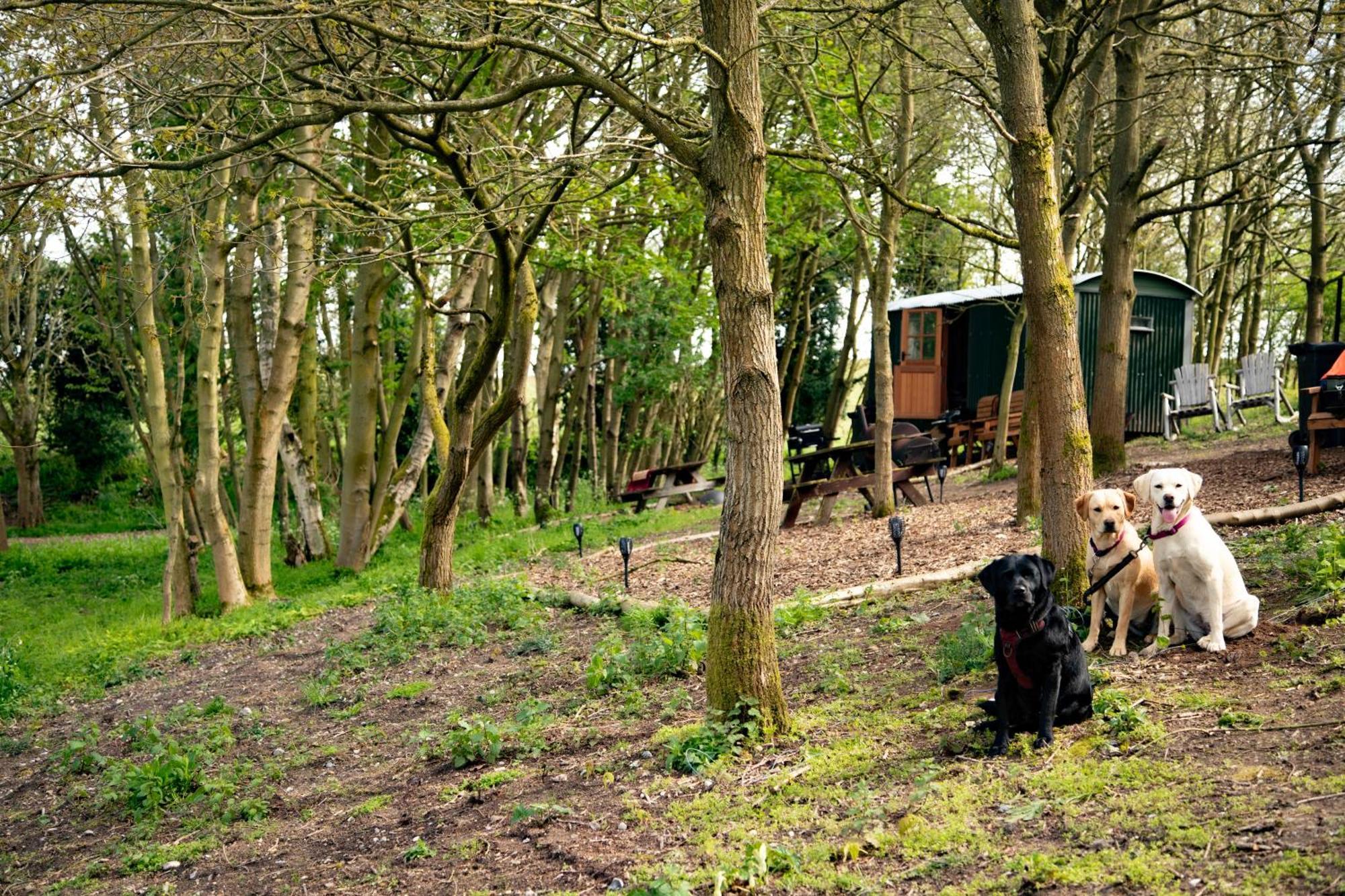 Вилла North Norfolk Glamping Холт Экстерьер фото