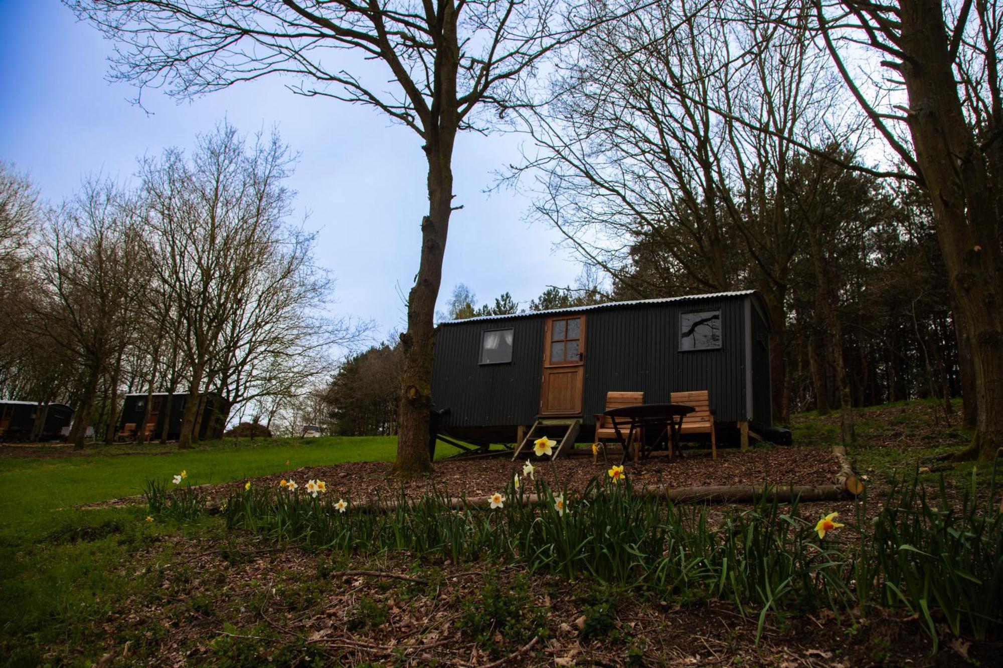 Вилла North Norfolk Glamping Холт Экстерьер фото