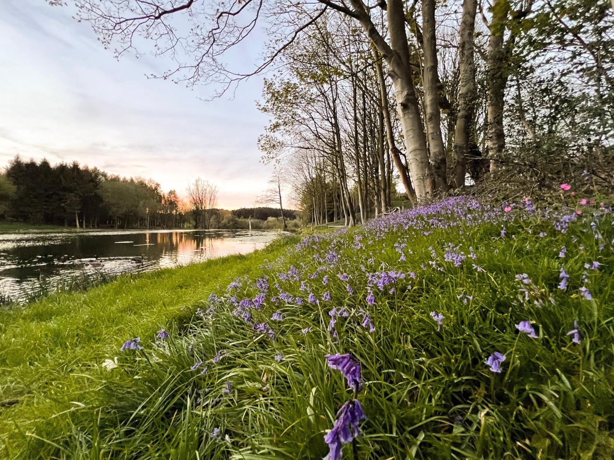 Вилла North Norfolk Glamping Холт Экстерьер фото