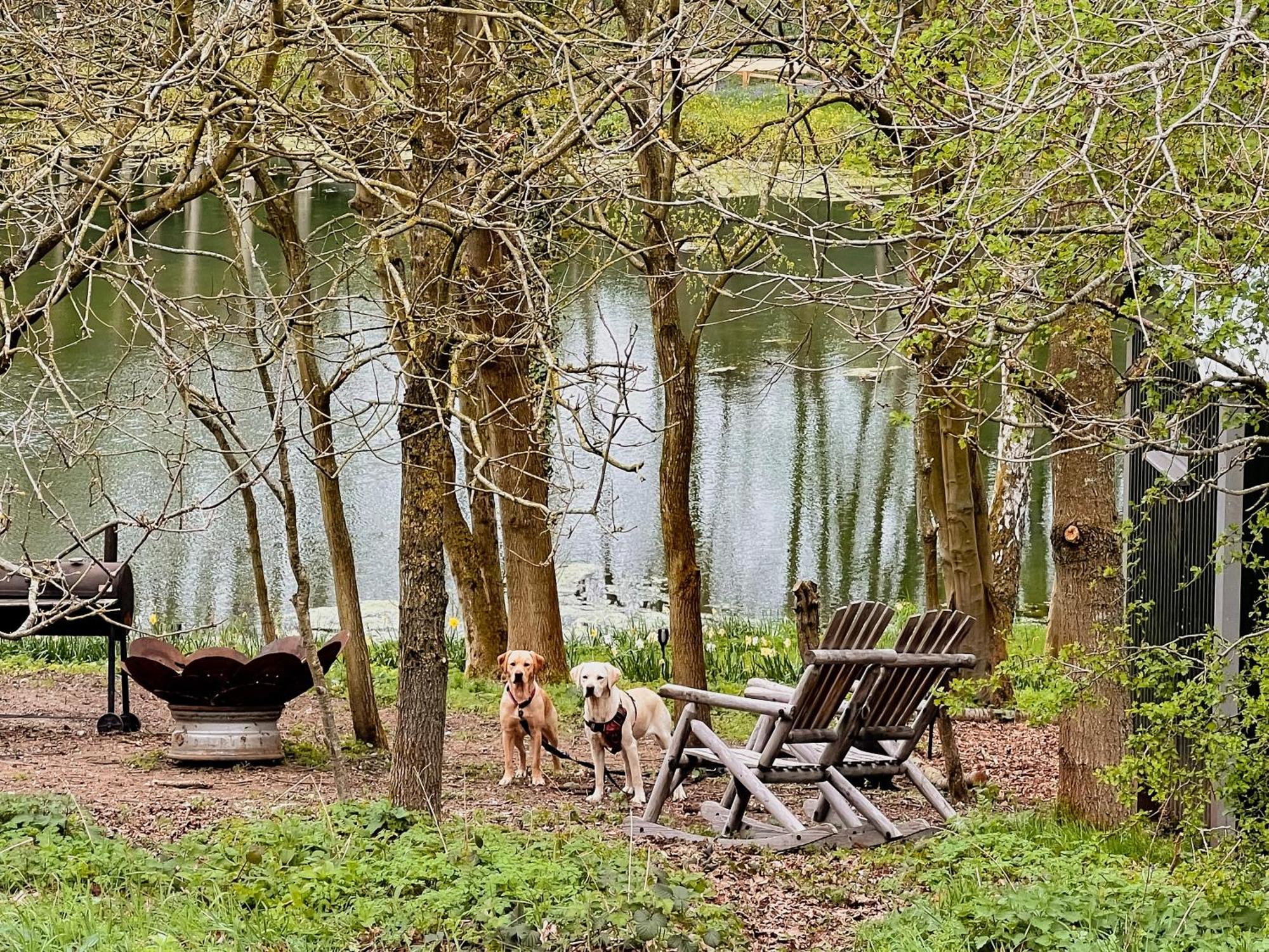 Вилла North Norfolk Glamping Холт Экстерьер фото