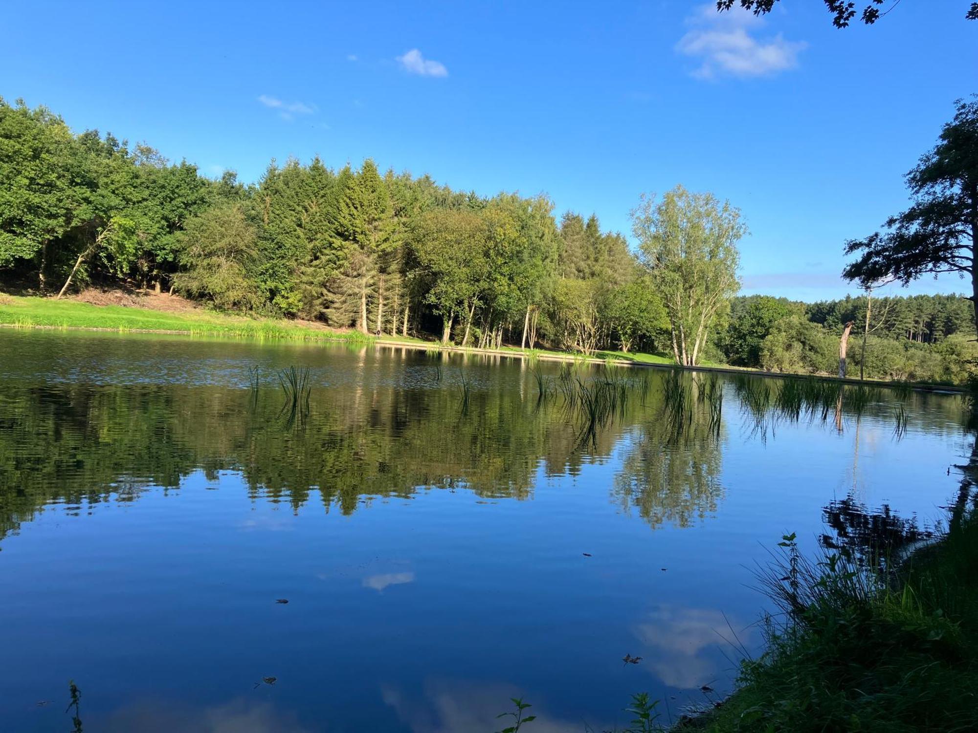 Вилла North Norfolk Glamping Холт Экстерьер фото