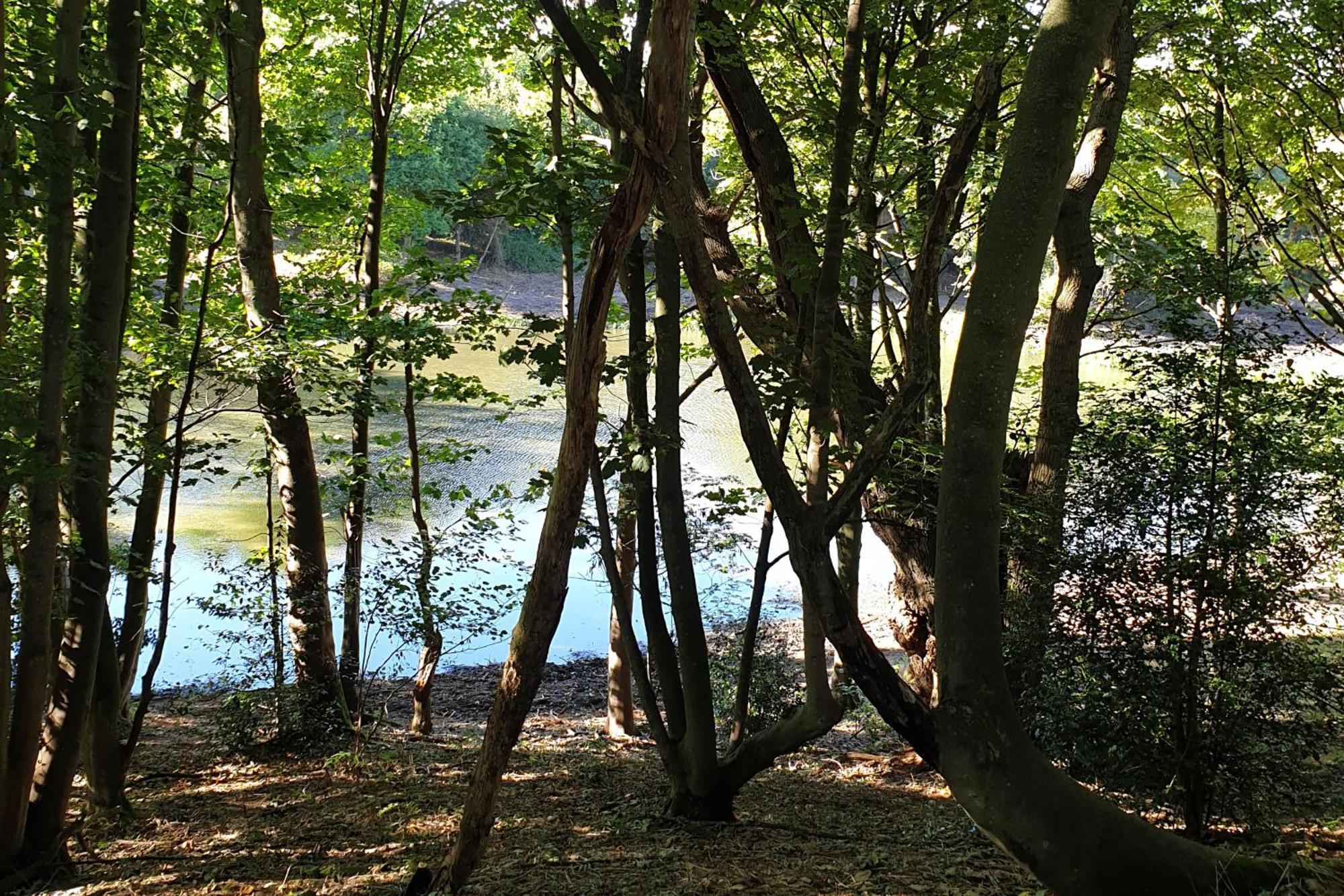 Вилла North Norfolk Glamping Холт Экстерьер фото